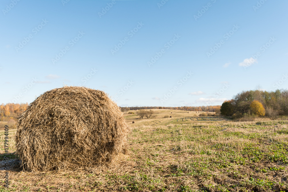 straw bales left on the field