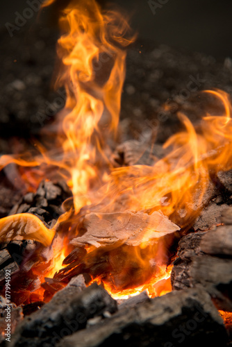 Bonfire fire coals