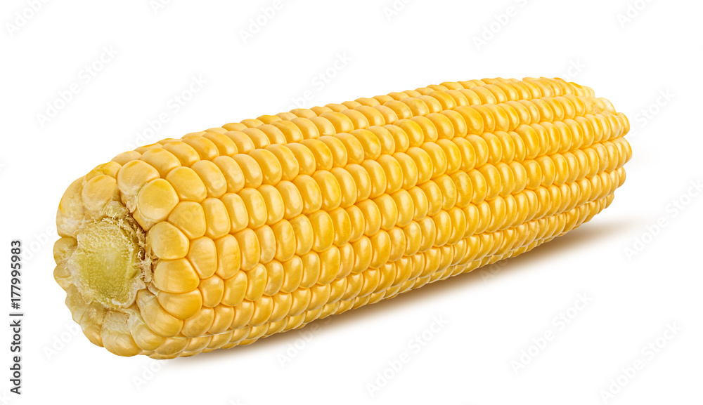 Fresh corn isolated on white background with clipping path Fresh corn isolated on white background with clipping path