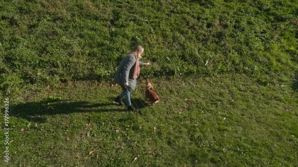 The girl plays with dog outdoors on green grass The girl plays with dog outdoors on green grass