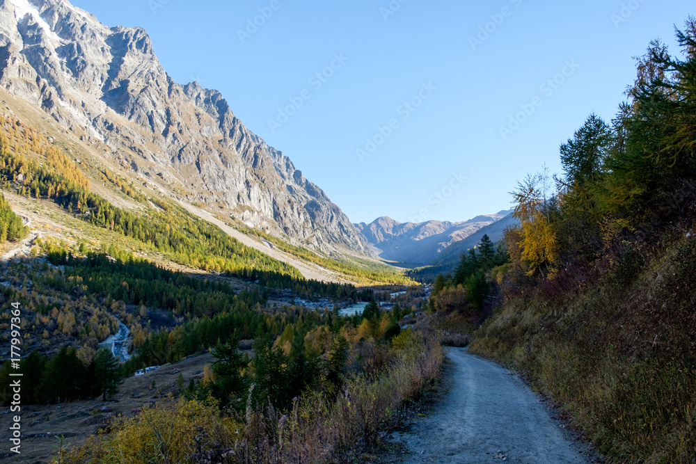 View of mountain peaks, valleys and pine tree forests in Val Ferret, Aosta Valley, Italy View of mountain peaks, valleys and pine tree forests in Val Ferret, Aosta Valley, Italy