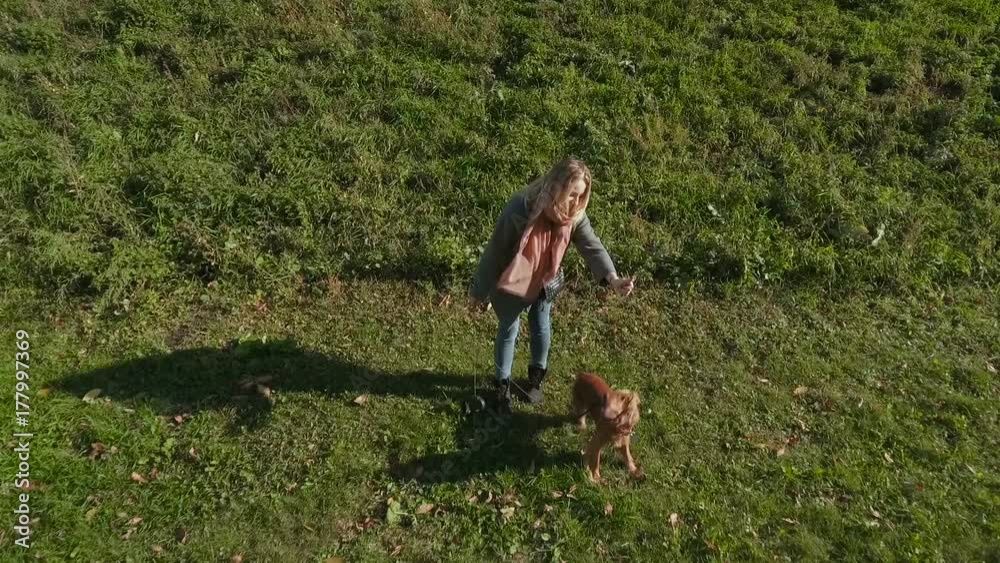 Playful dog with his owner outdoors on grass Playful dog with his owner outdoors on grass