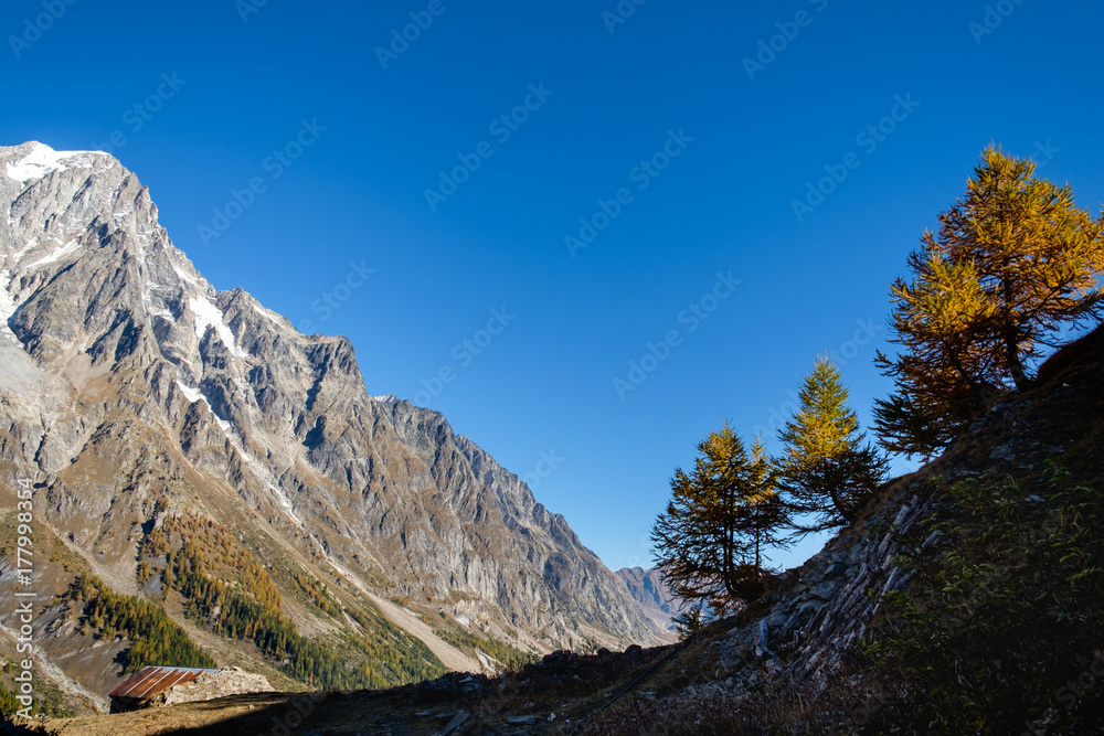 Mountain peaks and trees in autumn