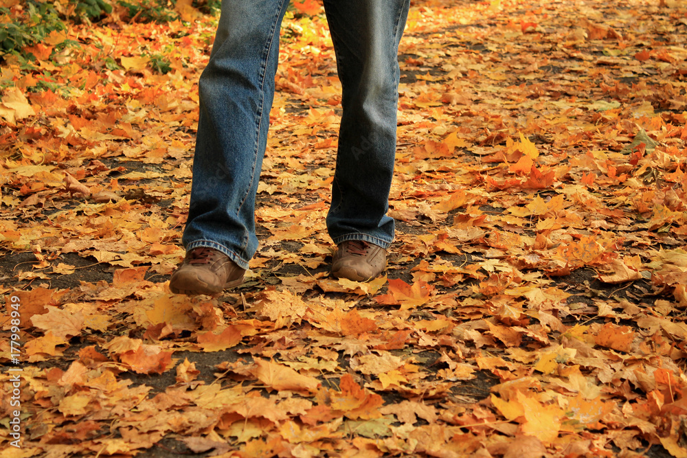 Human legs walking on yellow fallen leaves in autumn. Human legs walking on yellow fallen leaves in autumn.