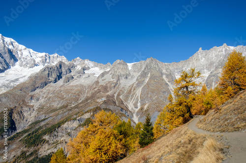 Mountain path and trees in autumn with peaks in the background