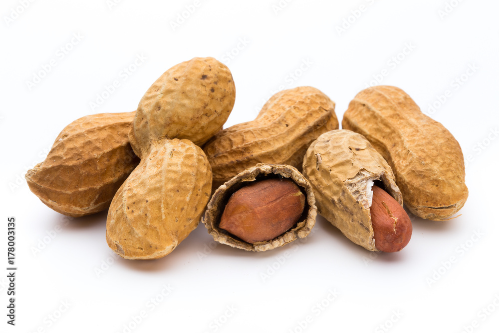 Dried peanuts on the white background. Dried peanuts on the white background.