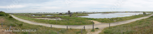 Panoramique : Vendée, le site naturel protégé de la pointe d'Arçay à La Faute-sur-Mer