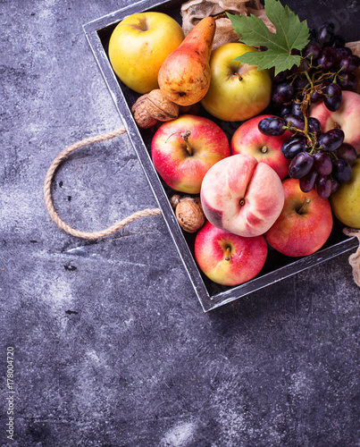Fresh fruits. Apples, pears, grape and peaches