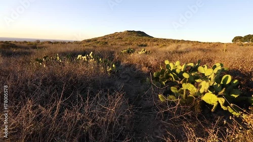 Malibu Desert Landscape in the Wind