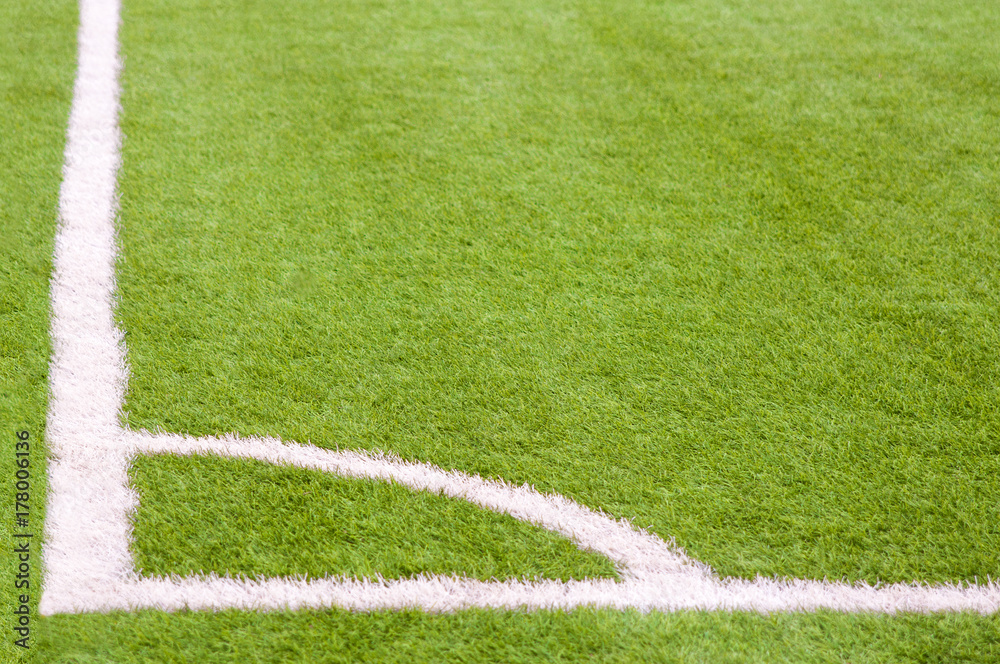 Obraz premium Soccer ground