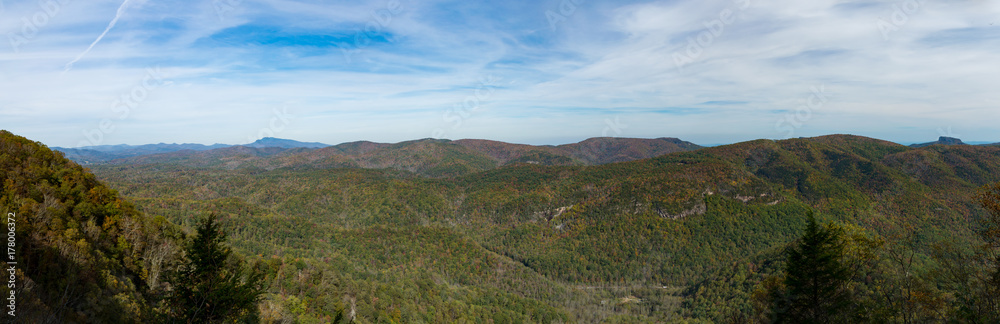 Naklejka premium pano of mountains and trees