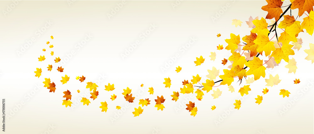 Goldener Herbst auf weissem Hintergrund Goldener Herbst auf weissem Hintergrund