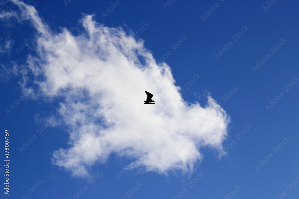 Motorized hang glider flying in the blue cloudy sky Motorized hang glider flying in the blue cloudy sky
