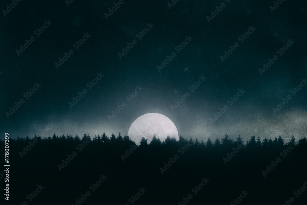 Naklejka premium full moon on the forest at night