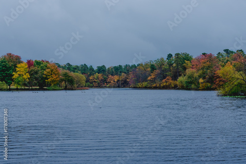 Calm Lake on Autumn