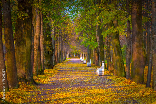 Autumn alley. A deserted al...