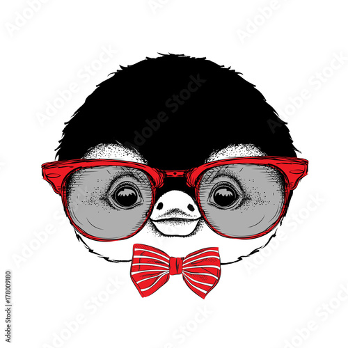 Image Portrait of cartoon penguin in the cravat and with glasses. Vector illustration.