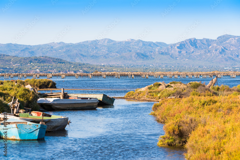 Ebro Delta estuary and wetlands, Tarragona, Catalunya, Spain. Copy space for text.