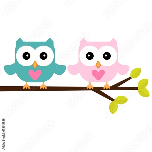 owls on a branch