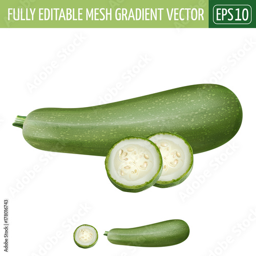 Zucchini on white background. Vector illustration