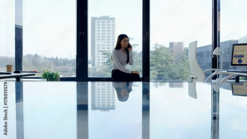 Happy businesswoman talking on phone in front of window in her office Happy businesswoman talking on phone in front of window in her office