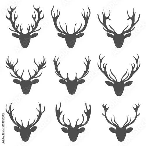 Set Deer Heads, Collection Stag Horns, Isolated on White Background