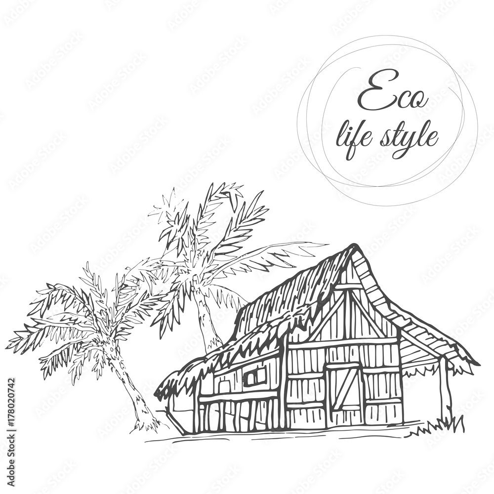 House Under Palm Trees With Thatched Roof In The Style Of The Sketch Stock Vector Adobe Stock