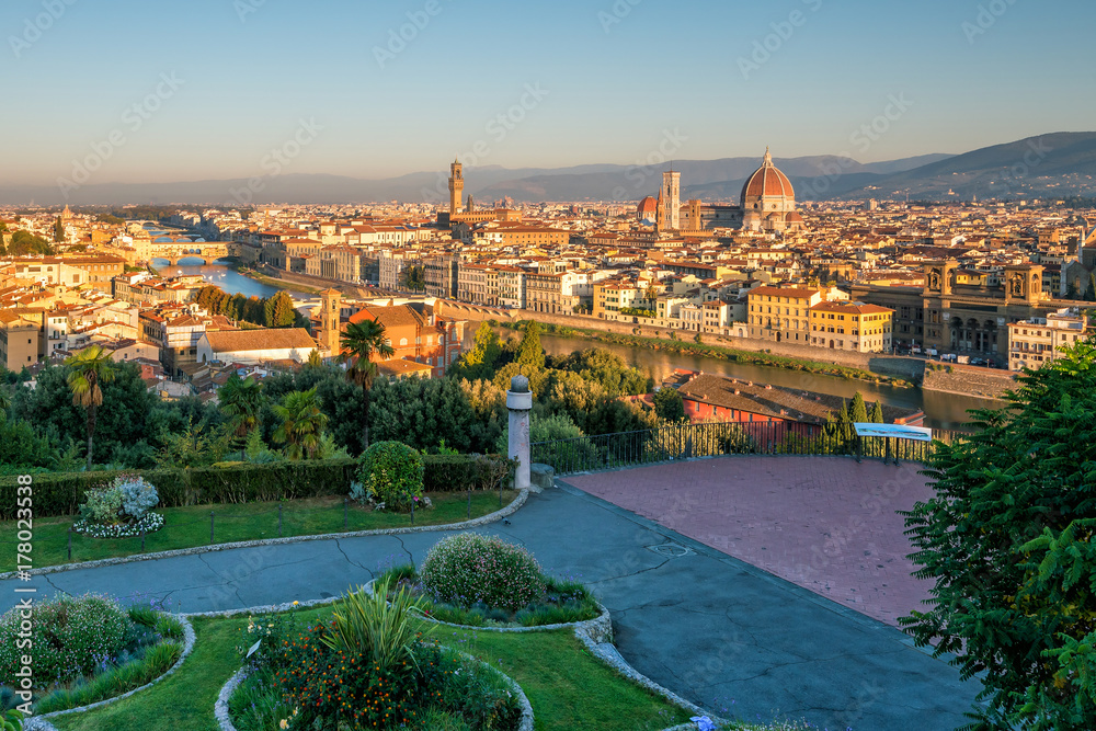 View of Florence skyline from top view