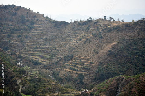 Mountain Farming