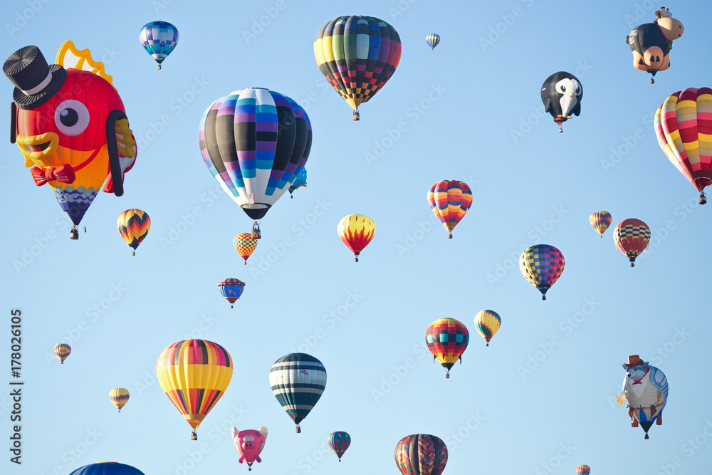 Obraz premium BalloonFiesta