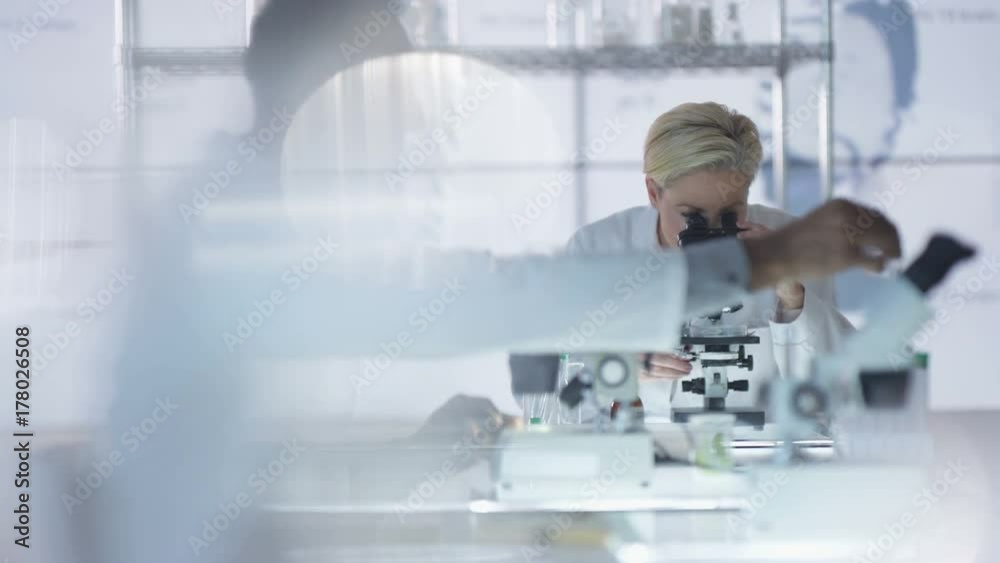 Medical researcher working in the lab analyzing samples under microscope