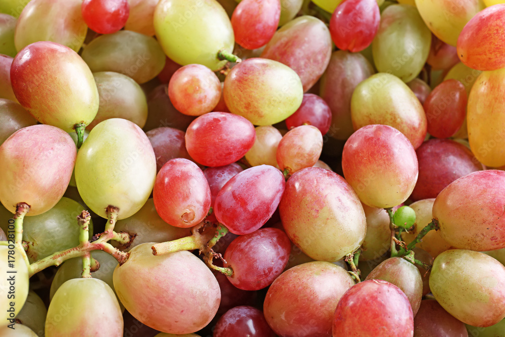 Fresh ripe grapes, closeup Fresh ripe grapes, closeup