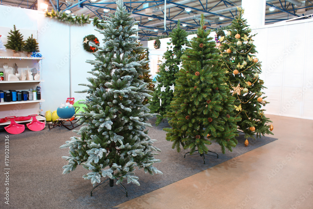 Christmas trees in shopping center