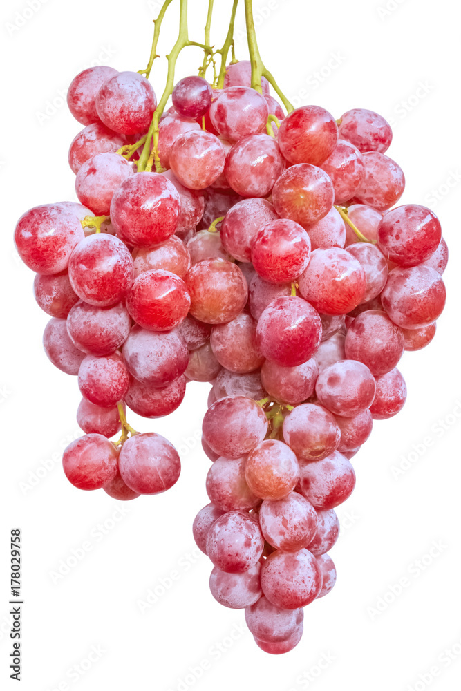 grappe de raisin rosé, fond blanc grappe de raisin rosé, fond blanc