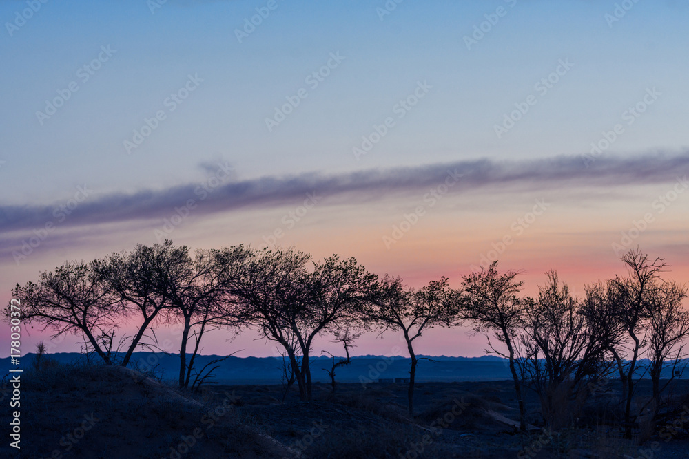 Naklejka premium silhouettes of trees on hill with colorful sky on background