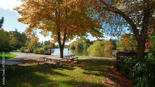 autumn park on a sunny day