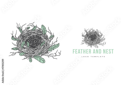 Nest and Feather