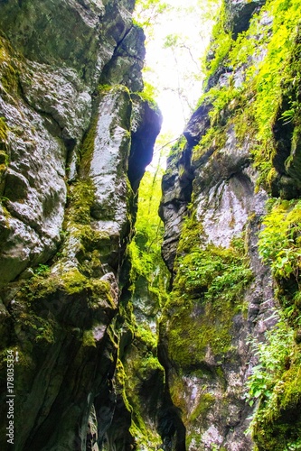 Rocks full of moss Tolmin Gorges, Slovenia