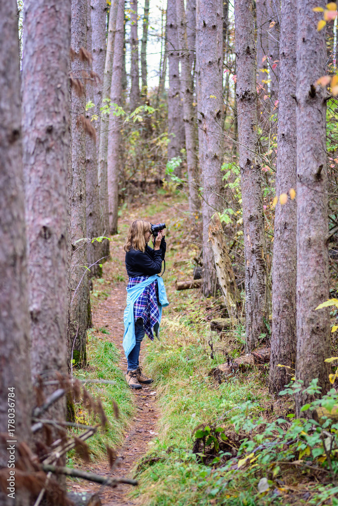 woman taking photos in pine forest woman taking photos in pine forest