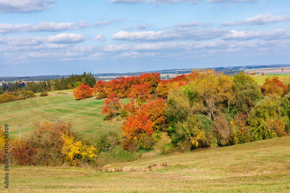 Fototapeta premium Autumn landscape with fall colored trees
