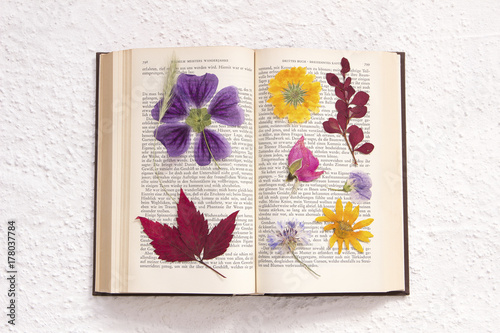 getrocknete Blumen in altem Buch (Goethe)