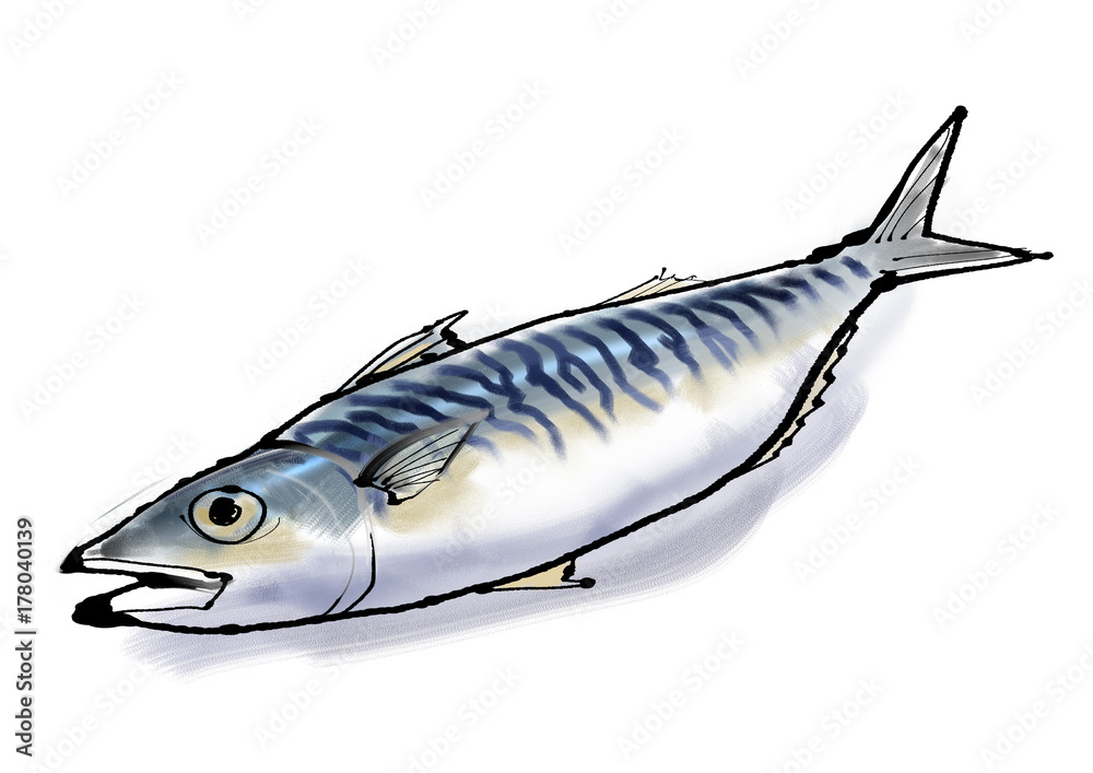 鯖 Stock イラスト Adobe Stock
