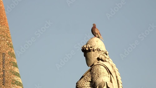pidgeon on head of ancient statue near belfry photo