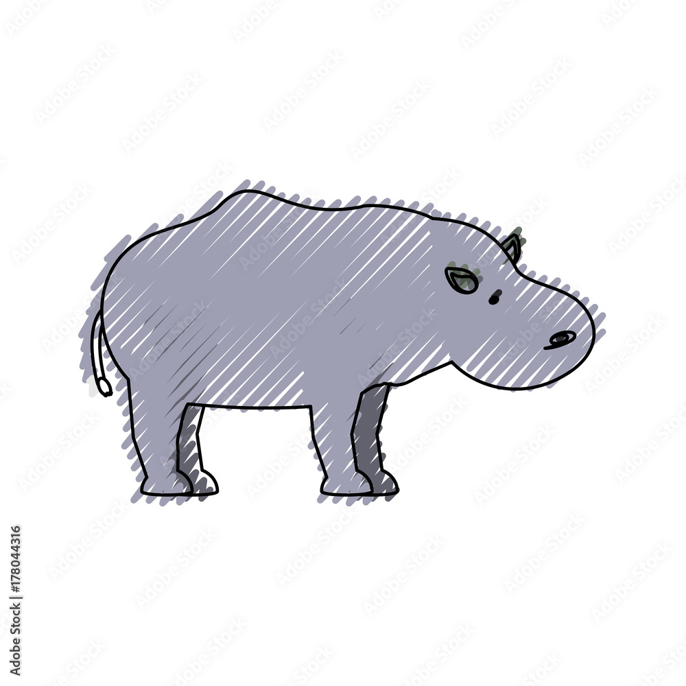 colored  hippopotamus doodle over white background  vector illustration