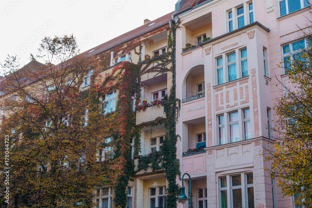 old and residential houses in autumn with ivy ranked facade old and residential houses in autumn with ivy ranked facade