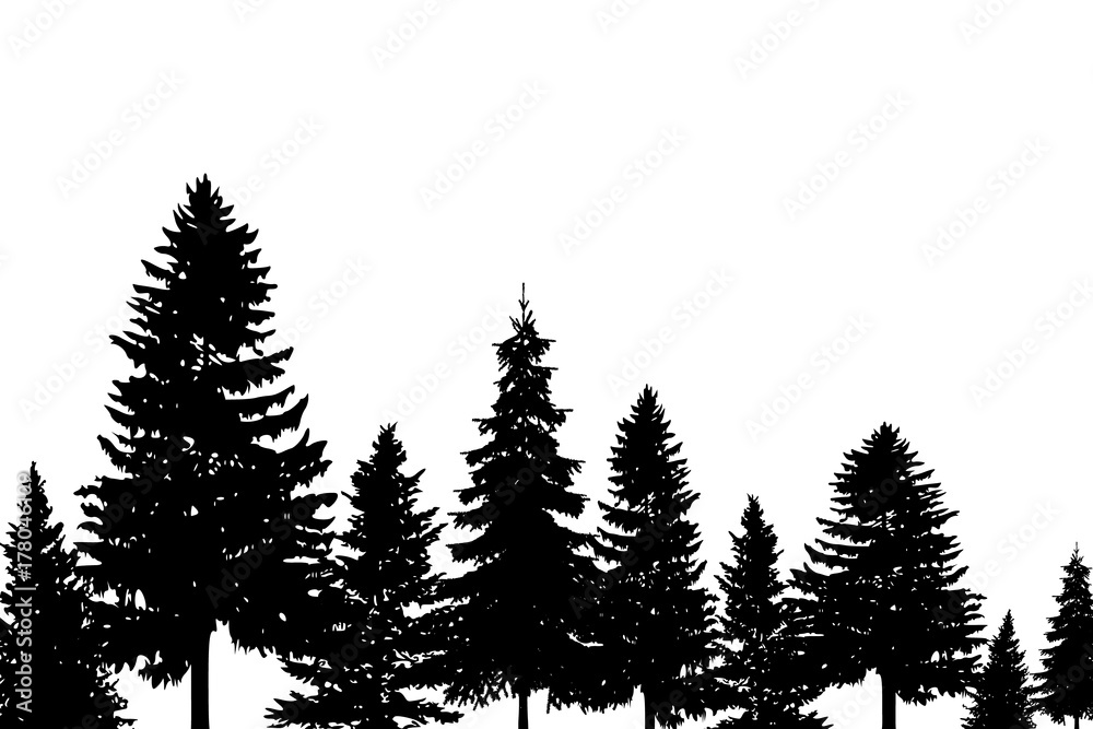 Silhouettes de sapins Stock-Vektorgrafik  Adobe Stock