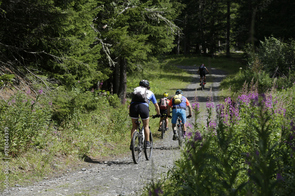Mountain bike Mountain bike