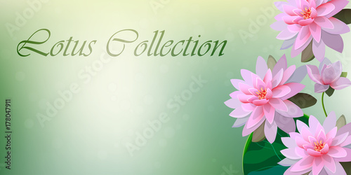 illustration of lotus flower