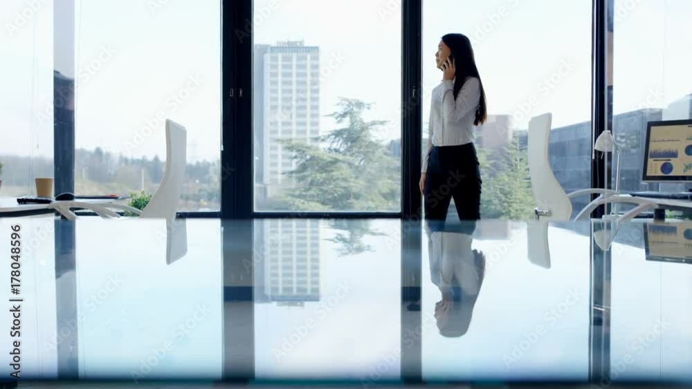 Annoyed businesswoman talking on phone in front of window in her office Annoyed businesswoman talking on phone in front of window in her office