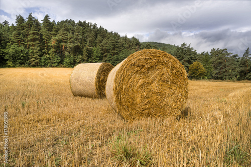 Two golden straw bales on a field at harvest time with forest in the background